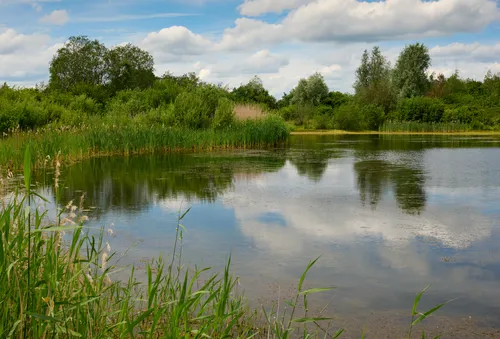 This landscape photograph captures a peaceful lake surrounded by lush green vegetation in Pleasley, Derbyshire, United Kingdom. Taken in the late morning during the summer, the image prominently features the clear reflection of trees and clouds on the still surface of the water. The sky is dotted with white clouds, whose shapes are mirrored perfectly in the lake, creating a serene and tranquil scene typical of the English countryside. Rich greenery frames the water’s edge, highlighting the vibrant summer growth that characterizes this season in Derbyshire. The photograph showcases the natural beauty of Pleasley, with the reflection of clouds and trees playing a central role in conveying the calm and untouched quality of this idyllic location.